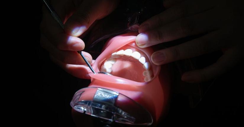 el-medicamento-que-regenera-los-dientes-perdidos-esta-mas-cerca-de-hacerse-realidad