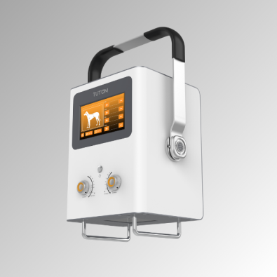 tutom_50e_de_sontu_3